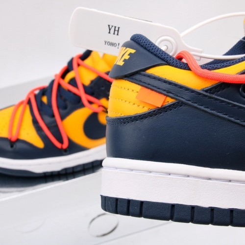 SB Dunk Low Limited Edition