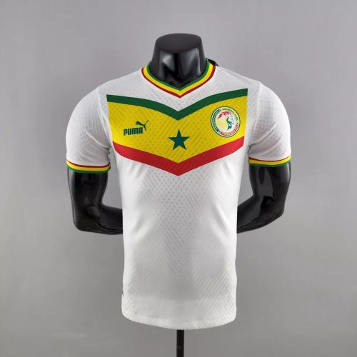 Player Version Senegal 2022 World Cup Home Authentic Jersey