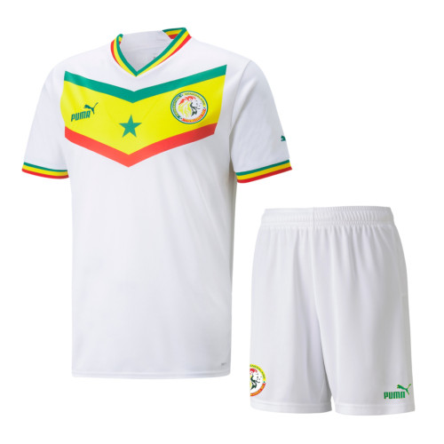 Senegal 2022 Home Jersey and Short Kit