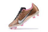 Mercurial Vapor XV Elite FG Football Boots NK 028