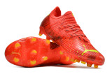 Future Z 1.3 Instinct FG Football Boots