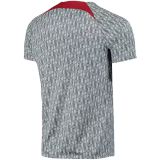 Thai Version Liverpool 23/24 Pre Match Jersey