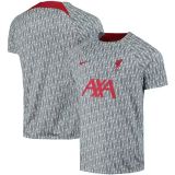 Thai Version Liverpool 23/24 Pre Match Jersey