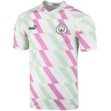 Thai Version Manchester City 23/24 Pre Match Jersey