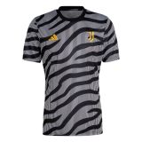 Thai Version Juventus 23/24 Pre Match Jersey