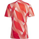 Thai Version Bayern Munich 23/24 Pre Match Jersey