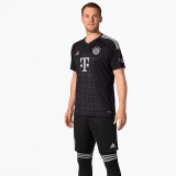 Thai Version Bayern Munich 23/24 Goalkeeper Jersey