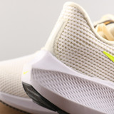 Air Zoom Pegasus 40 DV3853