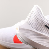 Air Zoom Pegasus 40 FB7179