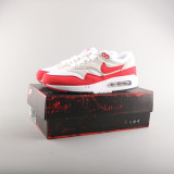 Air Max 1 DQ3989