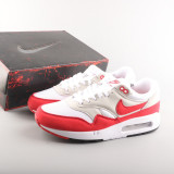 Air Max 1 DQ3989