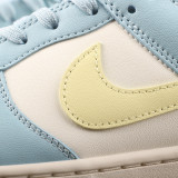 DUNK SB LOW CLASSIC ：DD1503-123