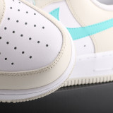 Air Force 1 Classic LZ6699 555