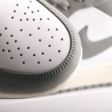 AJ 1 Retro Low DZ3140-102