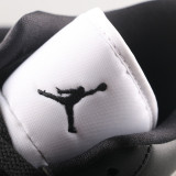 AJ 1 Retro Low DC0774 101