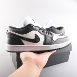 AJ 1 Retro Low DC0774 101
