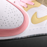 AJ 1 Retro High DJ0338-100