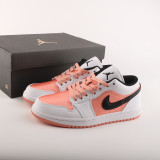 Womens AJ 1 Retro Low DM8960-801