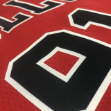 Dennis Rodman Men's Red Swingman Team Jersey - Icon Edition