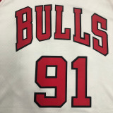 Dennis Rodman Men's White Swingman Team Jersey - Association Edition