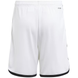 Thai Version Juventus 23/24 Away Shorts