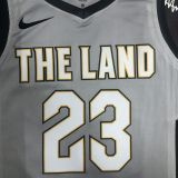 Men's LeBron Raymone James Gray Team Jersey