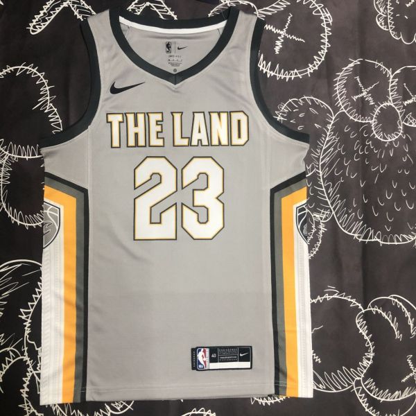 Men's LeBron Raymone James Gray Team Jersey