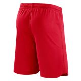 Thai Version Liverpool 23/24 Home Shorts