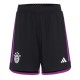 Player Version Bayern Munich 23/24 Away Authentic Shorts
