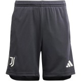Thai Version Juventus 23/24 Third Shorts
