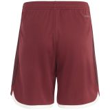 Thai Version Bayern Munich 23/24 Third Shorts