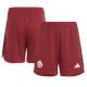 Thai Version Bayern Munich 23/24 Third Shorts