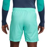 Thai Version Barcelona 23/24 Third Shorts