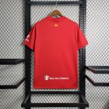 Thai Version Atletico Madrid 23/24 Special Jersey