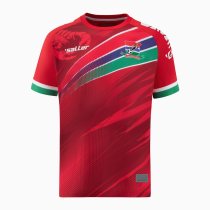 Player Version Gambia 2024 Home Jersey Authentic Jersey
