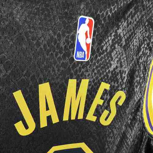 Youth LeBron James Black Team Jersey