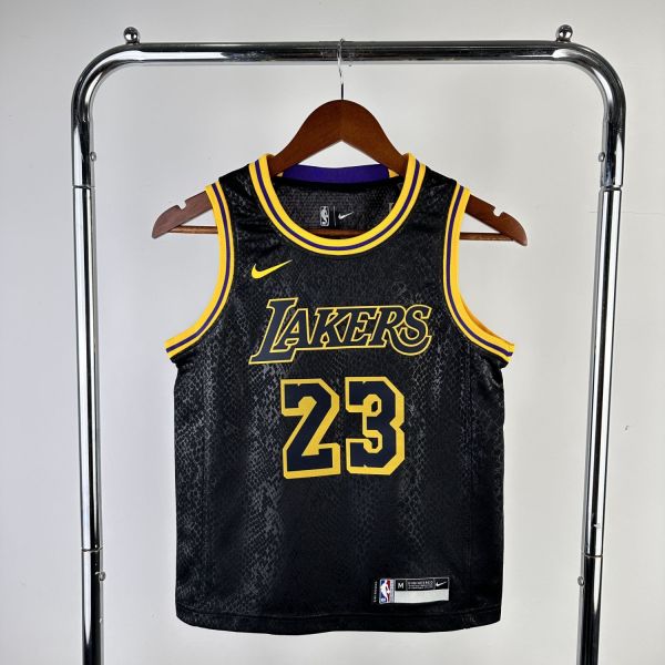 Youth LeBron James Black Team Jersey