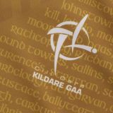 Kildare GAA 2024 Men's Alternate Goalkeeper Jersey - 3 Stripe