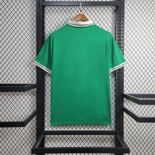 Thai Version Nigeria 2024 Special Jersey