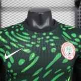 Player Version Nigeria 2024 Away Authentic Jersey