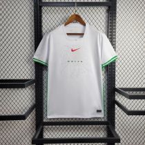 Thai Version Nigeria 2024 Home Jersey