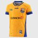 Kids Longford GAA 2025 Alternative Jersey - 3 Stripe
