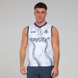 Dublin GAA 2024 Mens Training Vest