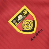 Down GAA 2025 Men's Home Jersey - 3 Stripe