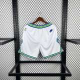 Men's 2024 Retro Team Shorts