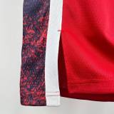 Unisex USA Basketball 2024 Olympics Team LeBron James Swingman Jersey - Red