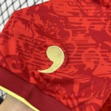 Thai Version Spain 24/25 Special Jersey
