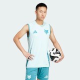 Thai Version Cruzeiro 2025 Training Sleeveless Jersey