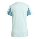 Thai Version Women's Cruzeiro 25/26 Training Jersey