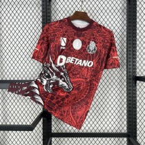 Thai Version FC Porto 25/26 Special Jersey